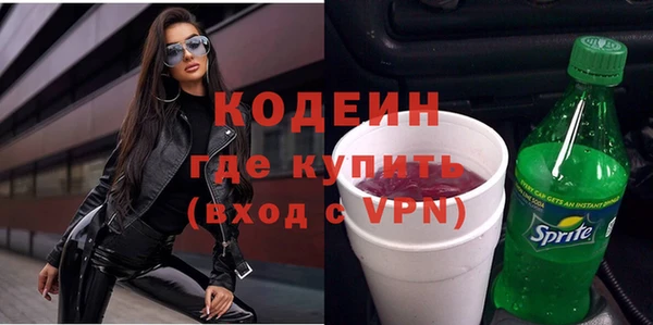 мдпв Инсар