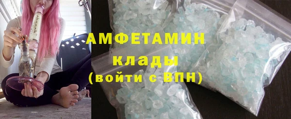 сатива Каменка