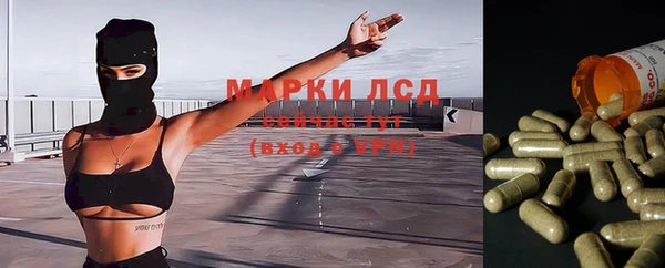 ALPHA PVP Иннополис