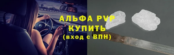 ALPHA PVP Иннополис