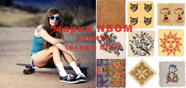 мдпв Инсар