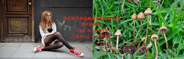 мдпв Инсар