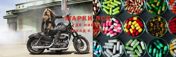 мдпв Инсар