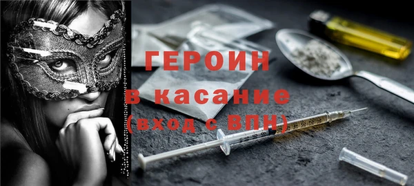 мдпв Инсар