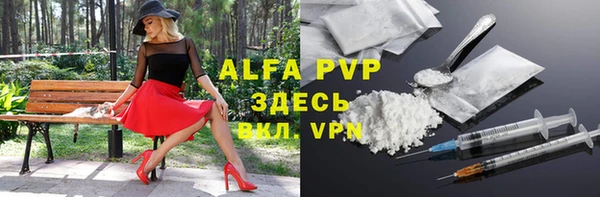 ALPHA PVP Иннополис