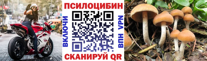 Купить закладки  Гурьевск  Галлюциногенные грибы ЛСД 