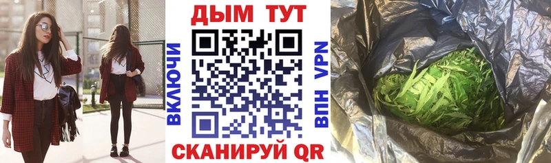 Шишки марихуана AK-47  Купить где  Гурьевск 